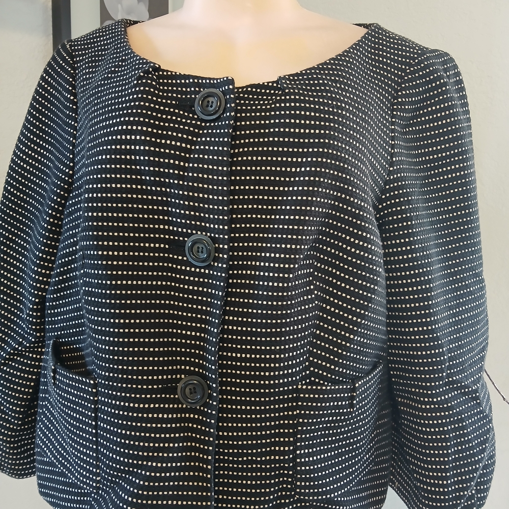 The Limited Black and White Striped Blazer